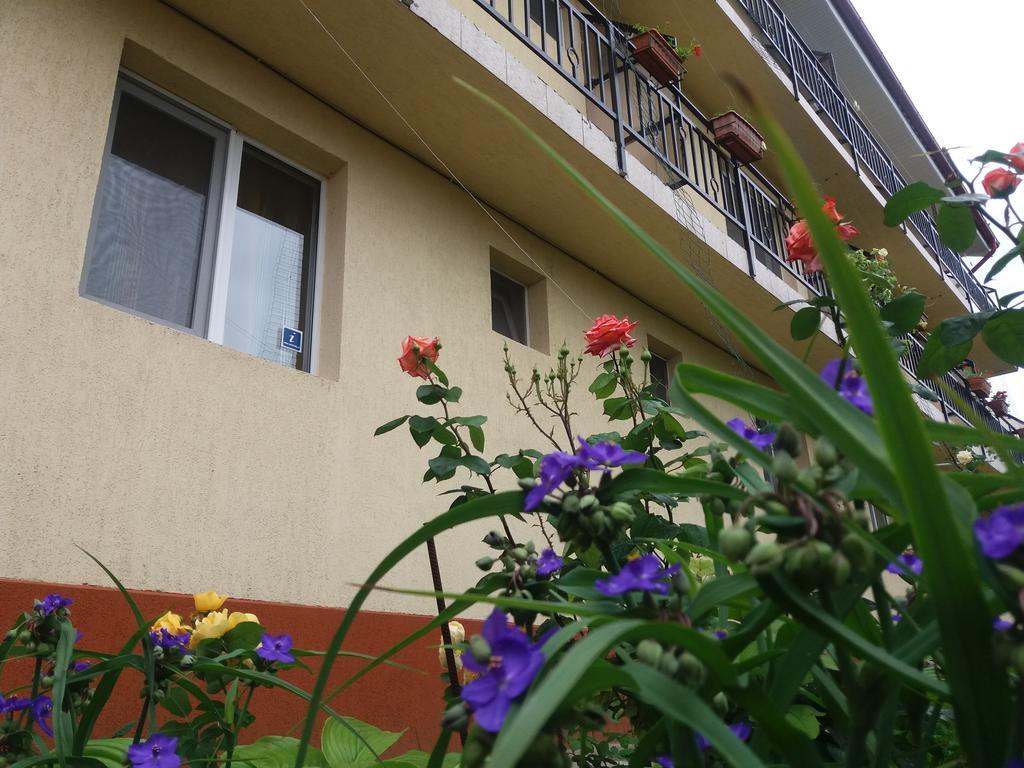 Vila Albatros วามาเวเก ภายนอก รูปภาพ