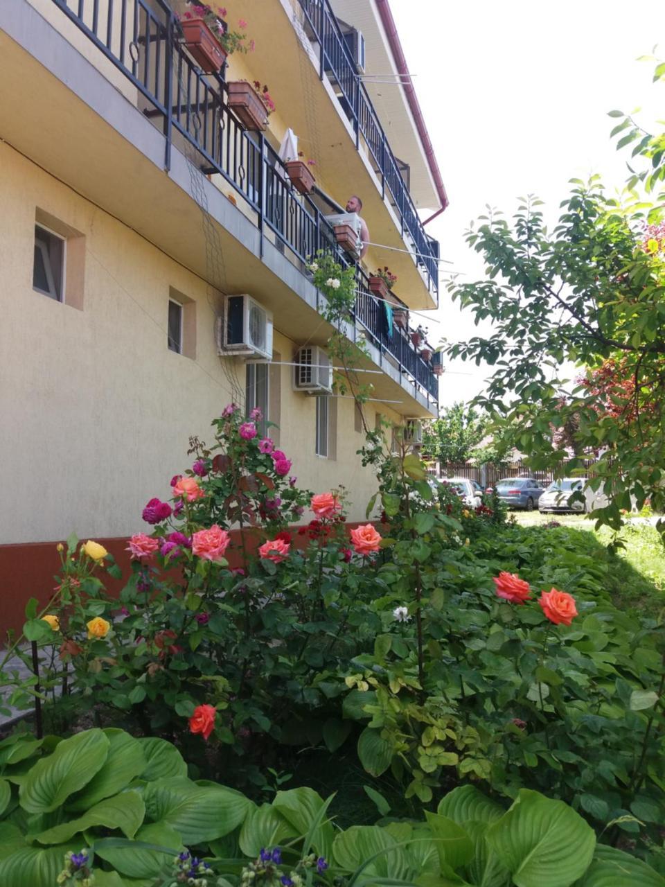 Vila Albatros วามาเวเก ภายนอก รูปภาพ